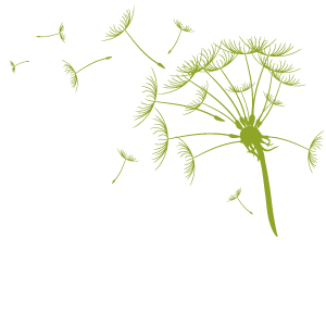 Logo Rafaela Kofler Physiotherapie